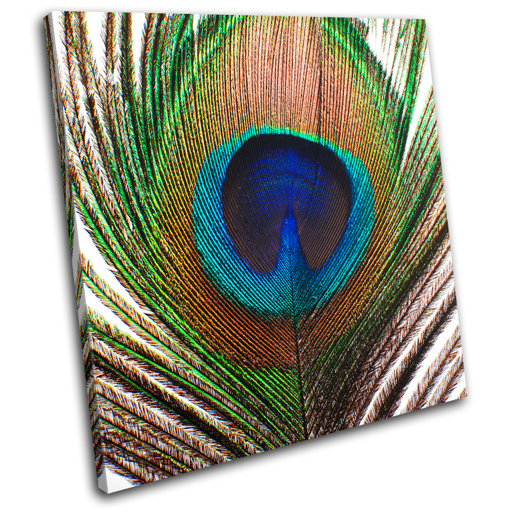 Peacock Feather Animals Single Canvas Wall Art Picture Print Va Ebay