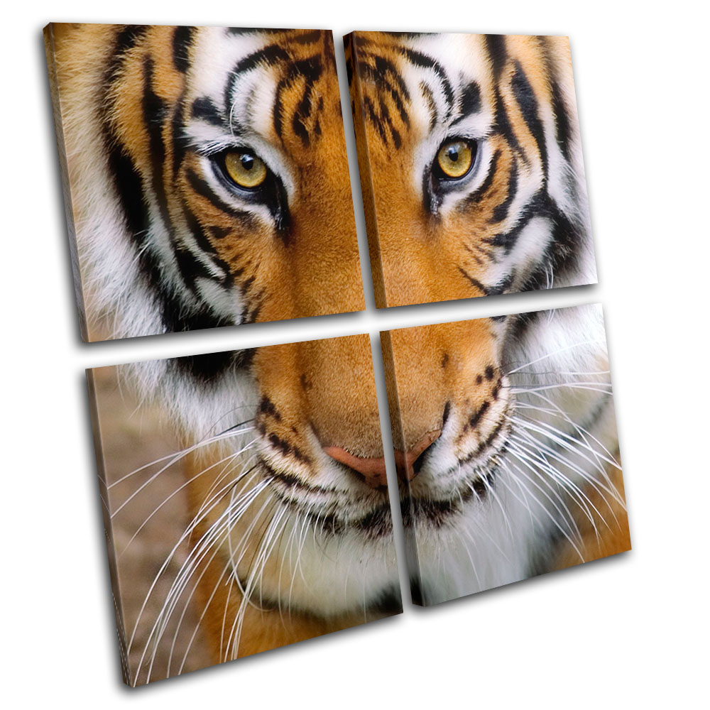 Animals Tiger Wildlife SINGLE CANVAS WALL ART Picture Print VA 