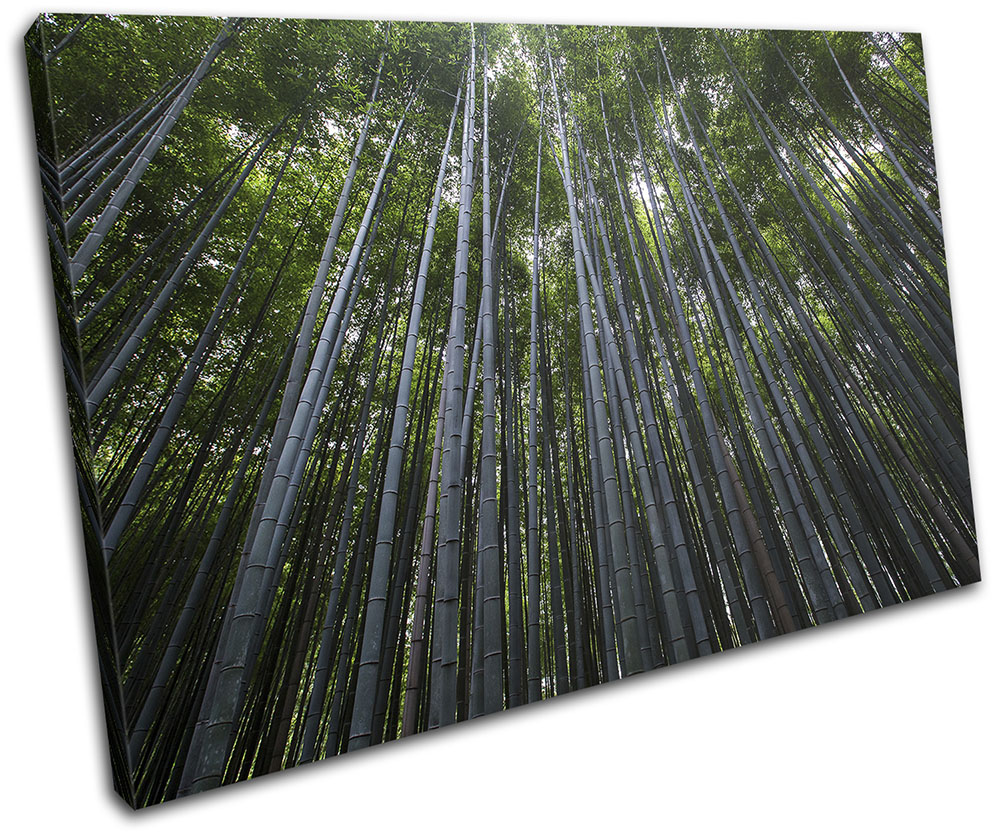 Forest Trees Nature Landscapes SINGLE CANVAS WALL ART Picture Print | eBay