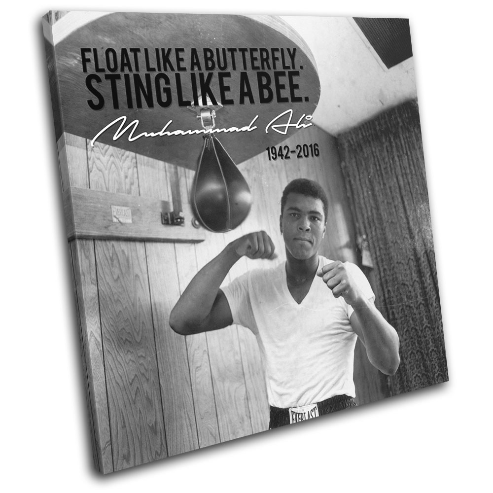 Boxing Anthony Joshua Quote Sports SINGLE CANVAS WALL ART Picture Print