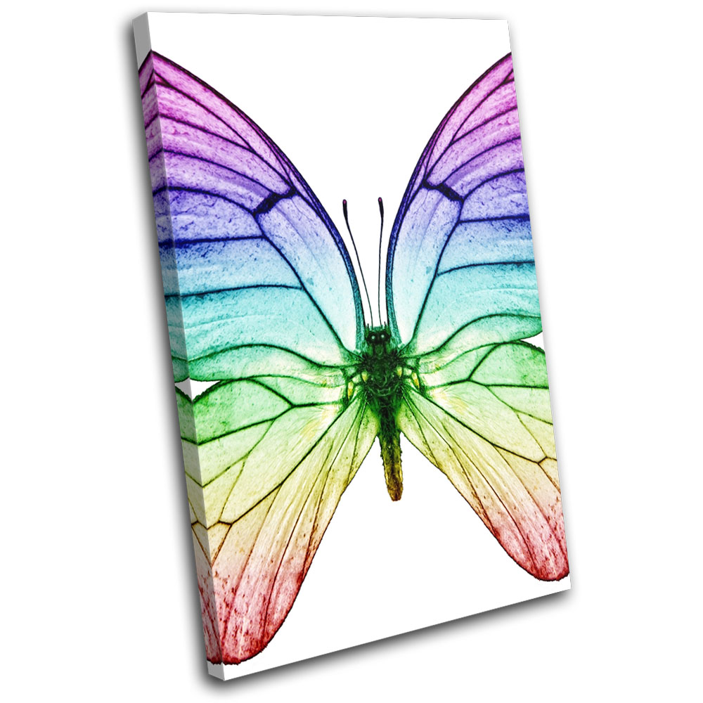 illustration Butterfly  SINGLE CANVAS WALL ART Picture Print VA