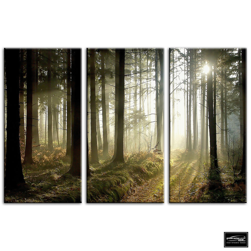 Landscapes Woodland Forest   BOX FRAMED CANVAS ART Picture HDR 280gsm